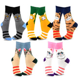 Animal Socks