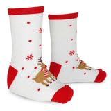 TeeHee Christmas Holiday Novelty Little Kids Crew Socks 4-Pair Teddy Bear-Candy Cane-Reindeer (K2203)