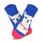 TeeHee Women's Colorful Fun Novelty Low Cut Ankle Socks - 12 Pair Pack (Pet-Animal) (N2003)