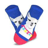 Women's Casual and Novelty No Show Low Cut Socks 6-Pack (Animal)??????? - TeeHee Socks